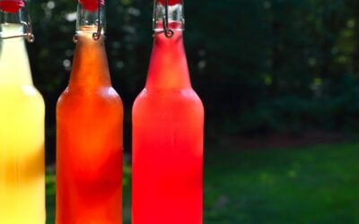 Beer Bottles for Home Brewing: What’s Best?