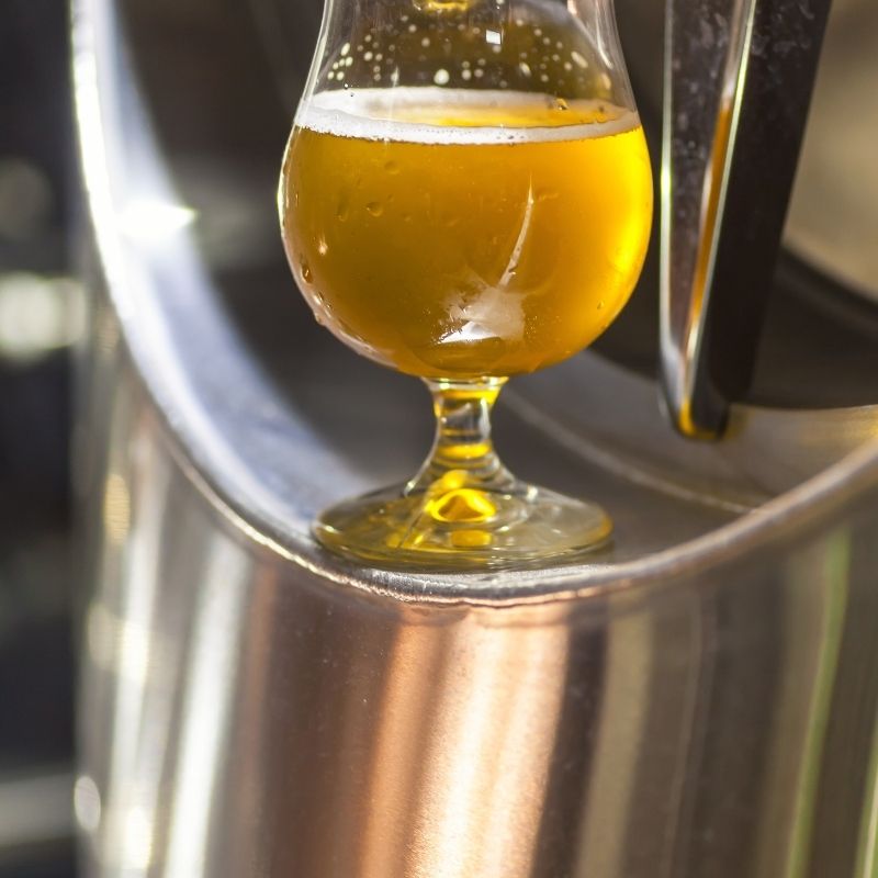 Home Brew Pale Ale Recipe