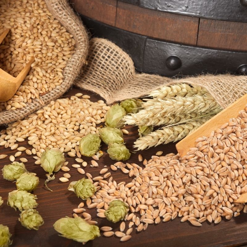 ingredients for brewing your own beer