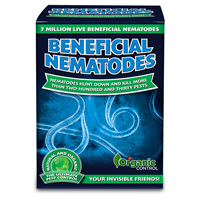 Nematodes Organic Pest Control   