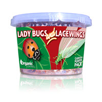 Lady Bugs and Lacewings Organic Pest Control