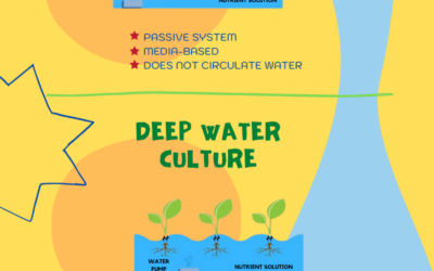 All About Simple Hydroponic Systems- Diagram