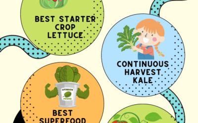 What Can You Grow With Hydroponics- Infographic