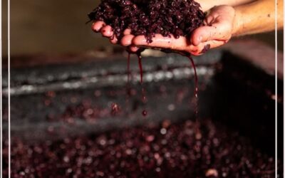 How to make sure wine fermentation has stopped