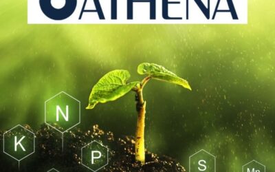 Athena Plant Nutrients