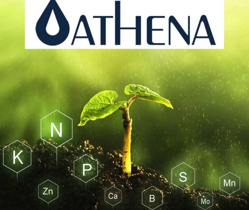 Athena Plant Nutrients