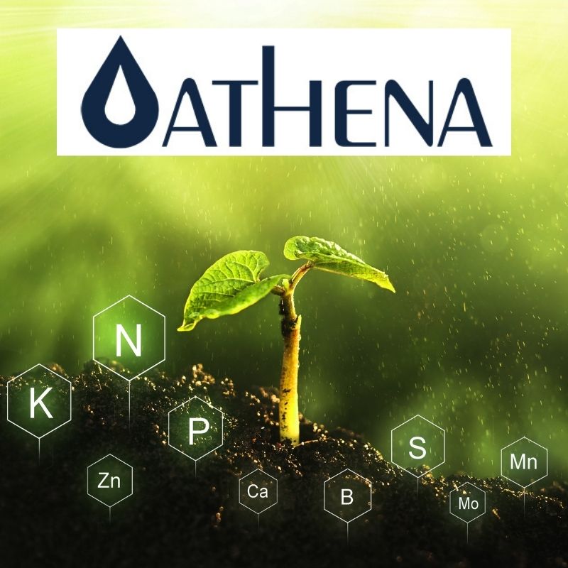Athena Plant Nutrients
