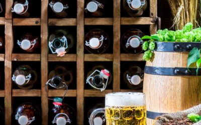 The Awesomeness of a Beer Cellar