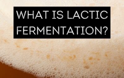 What is Lactic Fermentation?