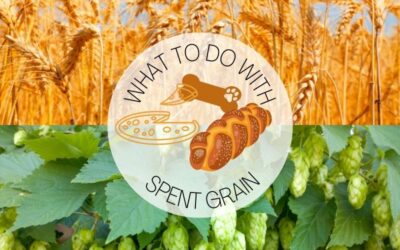 What Can You Do with Spent Grain From Brewing?