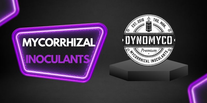 Mycorrhizal-Inoculants